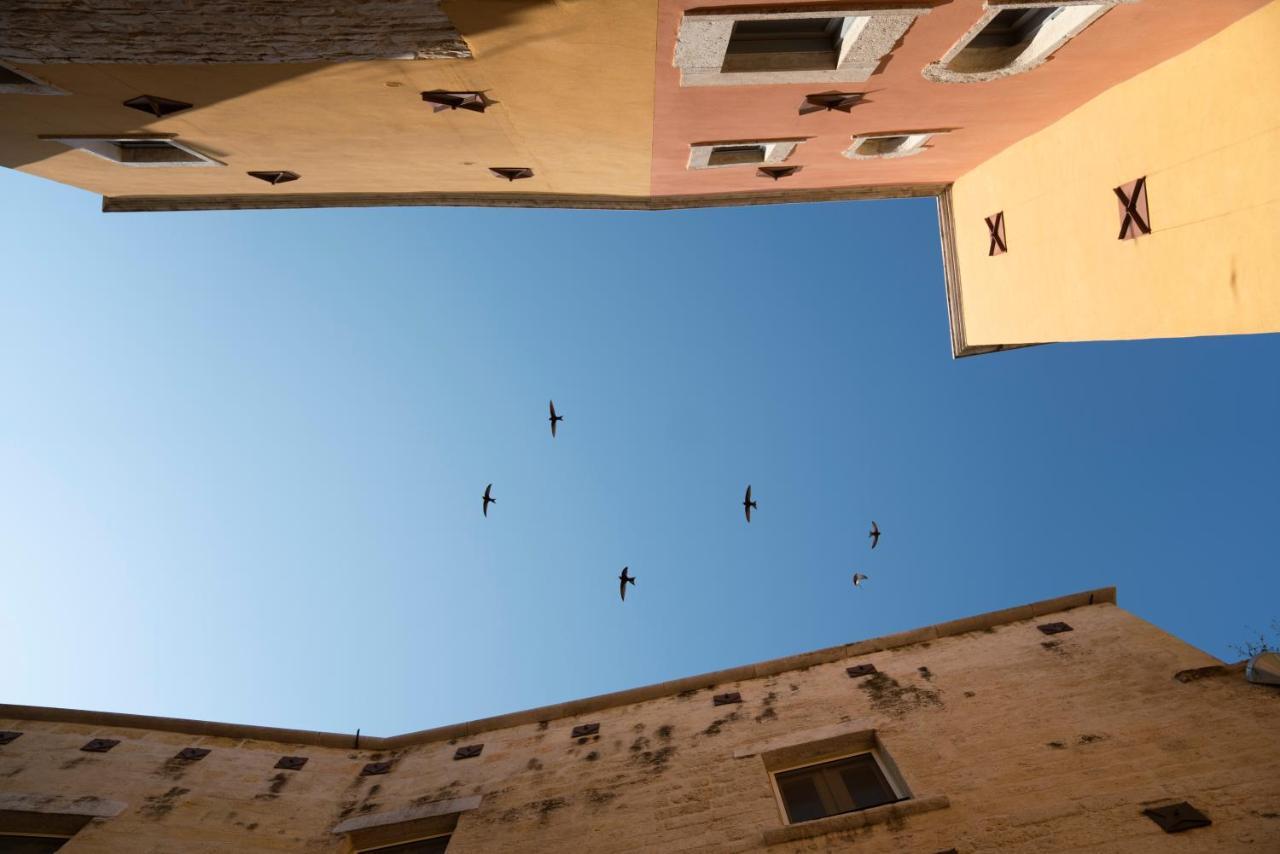 B&B Palazzo Vittoria Bisceglie Kültér fotó